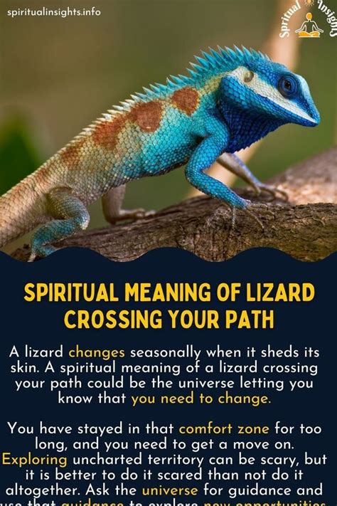 The Hidden Significance of Lizard Symbolism: Unveiling the Enigmatic Interpretations