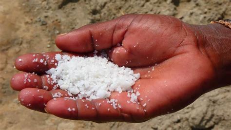 The Historical Significance of Salt in Ancient Civilizations