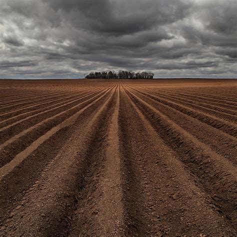 The Historical and Cultural Context of Ploughed Fields