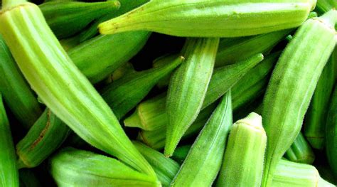 The History and Origin of Okra: A Journey from Africa to Global Cuisine