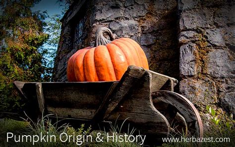 The History and Origins of Pumpkin Symbolism