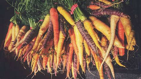 The History of Carrots: Origins and Cultural Significance