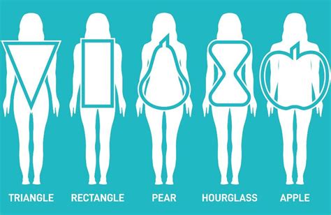 The Ideal Body Shape: Ann Graves' Physical Dimensions