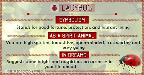 The Impact of Culture and Mythology on Symbolism in Lady Bird's Dreams