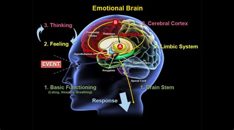 The Impact of Emotional Sensations Due to Dreaming of getting Shot