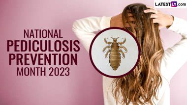 The Impact of Lice and the Significance of Prevention