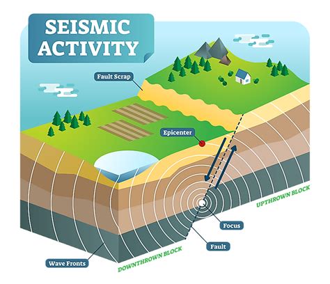 The Impact of Seismic Events: Revealing their Importance