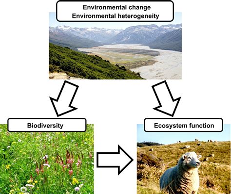 The Importance of Chromatic Wildlife in Ecosystem Functioning