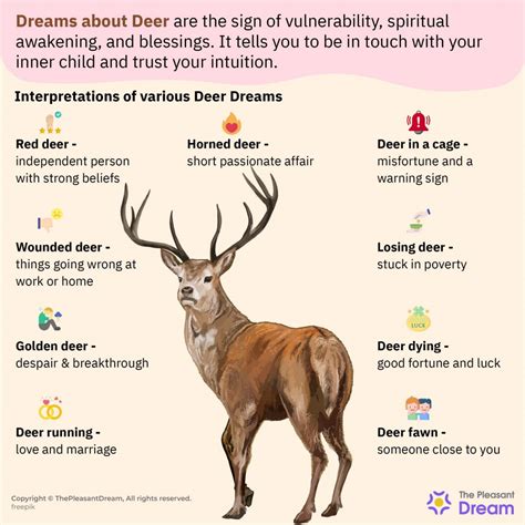 The Importance of Deer in Dreams