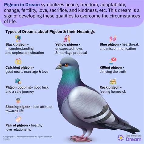 The Importance of Pigeons in Dreams: A Symbol of Harmony or Harbinger of Destiny?