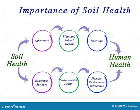 The Importance of Soil in Dreams