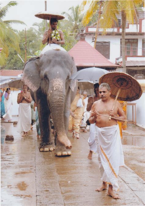 The Integral Role of Elephants in Religious Ceremonies and Rituals