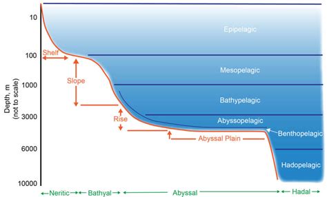 The Interconnection Between Profound Oceanic Depths and Climate