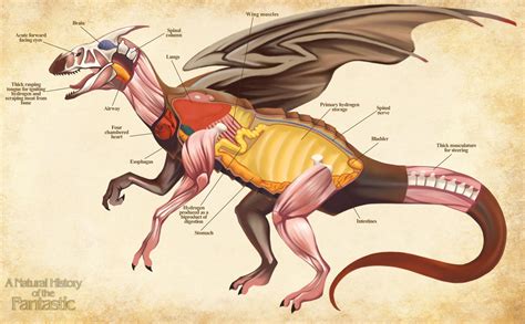 The Intricate Anatomy of Fantastical Creatures