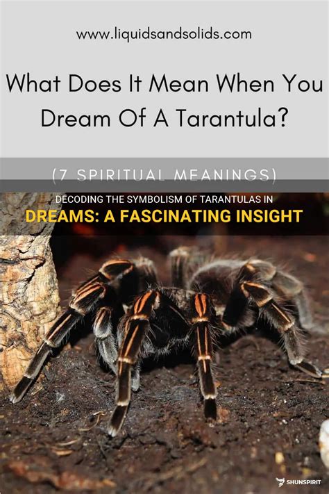 The Intriguing Symbolic Interpretations of Swift Tarantulas in Dreams