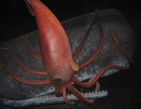 The Intriguing World of Colossal Cephalopods