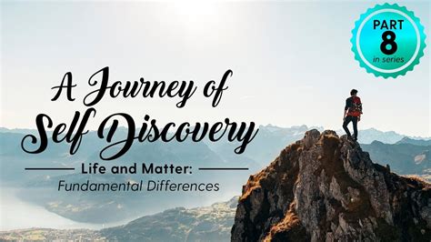 The Journey of Self-Discovery: Exploring Personal Growth through Insights from Your Beloved Canine Companion's Dream