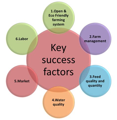 The Key Factors Leading to Success for Kaci Mantz