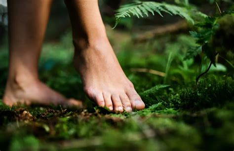 The Liberating Power of Grounding: Reconnecting with Nature through Walking Barefoot