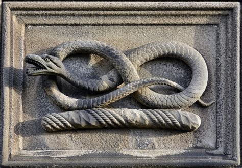 The Link between Serpents and Personal Growth in Dream Symbolism