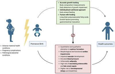 The Long-Term Consequences of preterm birth on Childhood Development