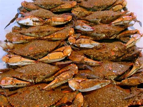 The Majestic Blue Crab: A Feast for the Eyes and the Palate