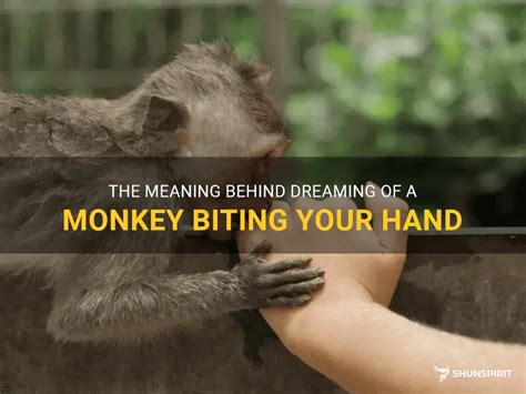 The Meaning Behind Dreaming of a Baby Monkey