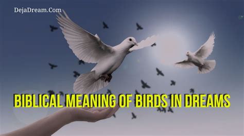 The Meaning of Birds in Dreams