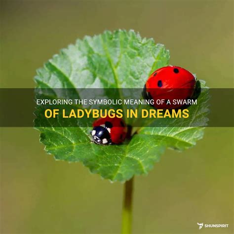 The Meaning of Ladybugs in Dreams