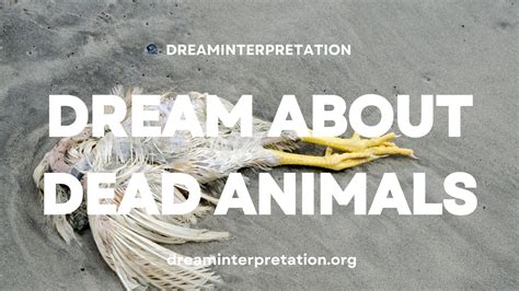 The Meaning of a Deceased Animal in Dreams