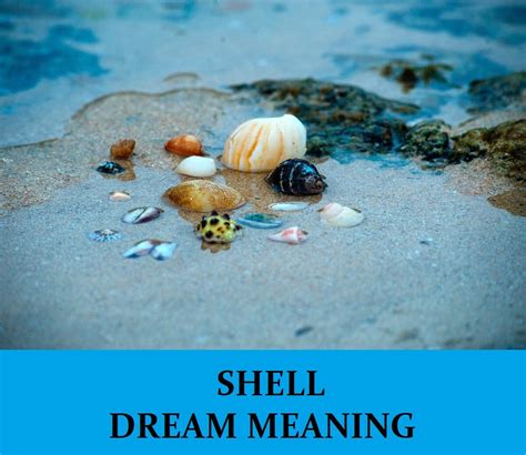 The Meaning of a Fractured Shell in Dream Analysis