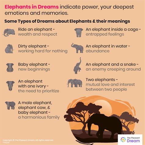 The Meaningful Significance of Symbols in Dreams About Confronting Elephant Aggression