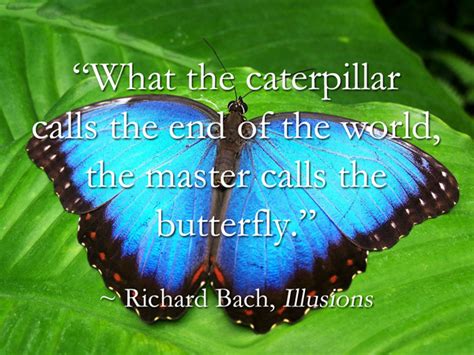 The Metamorphic Journey: Visions of Caterpillars and Butterflies