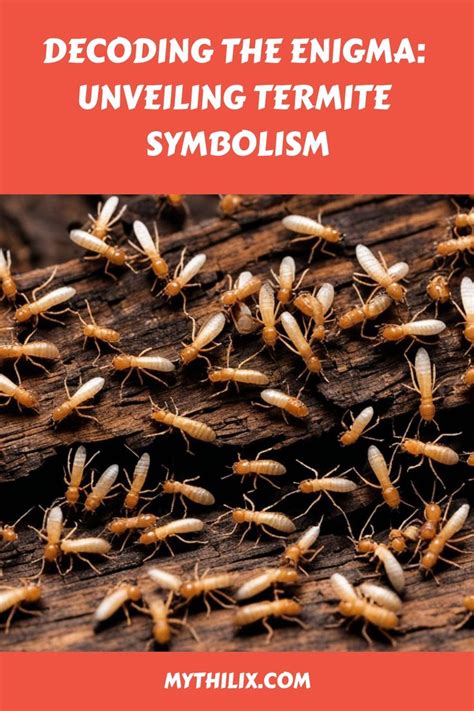 The Mysteries Unveiled: Decoding the Symbolism in Termite Dreams