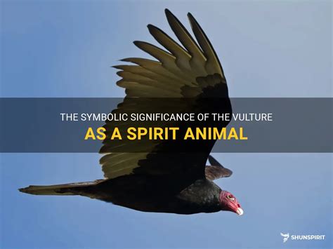 The Mysterious Significance of the Dark Vulture: Exposing its Symbolic Importance