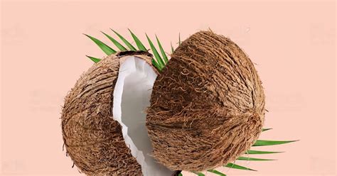 The Nourishing Benefits of Coconut: Nature's Nutritional Powerhouse