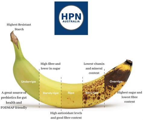 The Nutritional Importance of Unripe Bananas