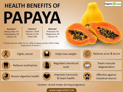 The Nutritional Value and Health Benefits of Pawpaw Fruit