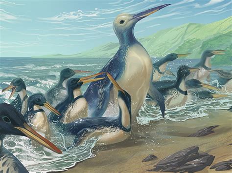 The Origins of the Mythical Giant Penguin Legend