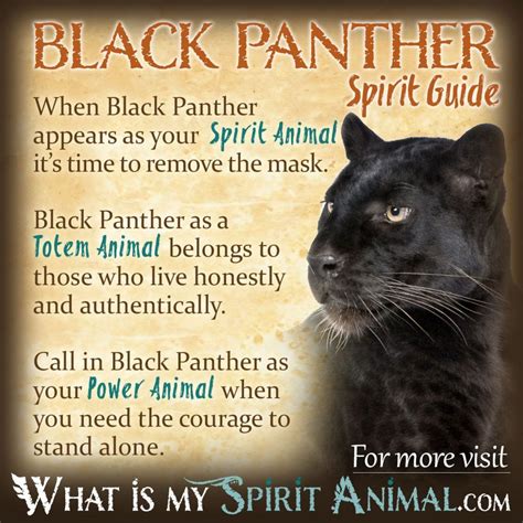 The Panther as a Spirit Guide: Exploring Its Meanings and Messages