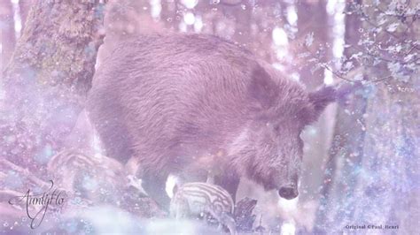 The Parental Instinct: Exploring the Symbolism of Protective Nature in Infant Wild Boar Dreams