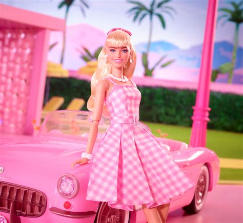 The Personal Life of Barbie Pink