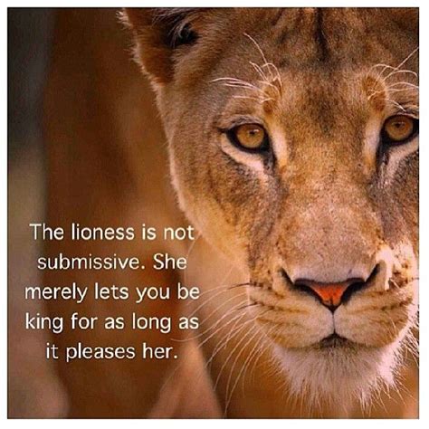 The Power and Strength of the Lioness