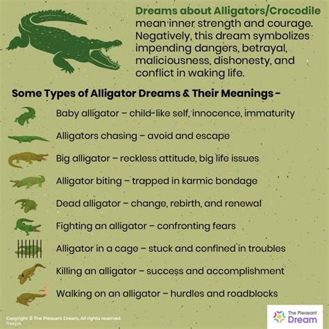 The Power of Archetypes: Alligators as Representatives of Primitive Instincts in Dreams