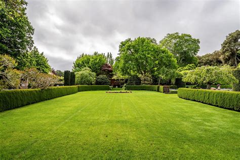 The Power of Green: The Irresistible Appeal of Towering Verdant Lawns