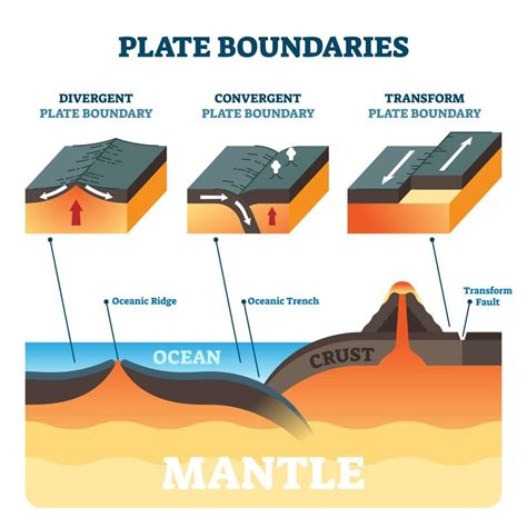 The Powerhouse of Plate Tectonics