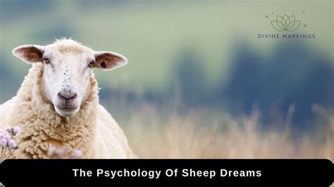 The Psychological Interpretation: Symbolism of Sheep in Dreams