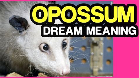 The Psychological Interpretation of Being Bitten by a Possum in a Dream