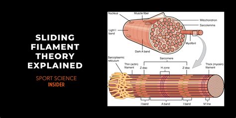 The Psychological Interpretation of Extracting Filament from My Throat