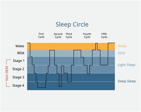 The Psychological Interpretation of Melanistic Lagomorphs in Sleep